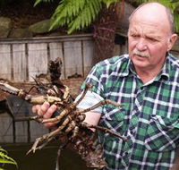 Lobster Ponds - Hotel VIC