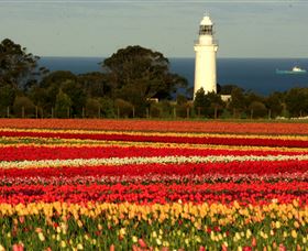 Table Cape - Hotel VIC 5