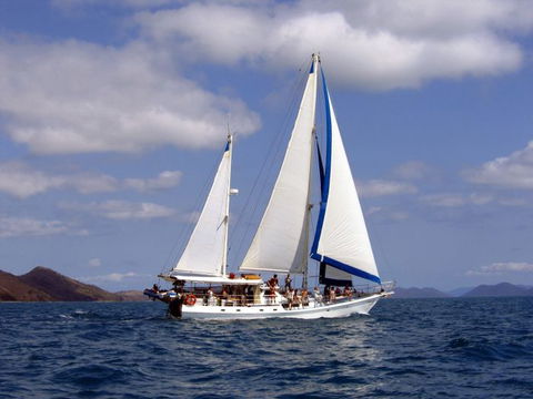Adventure, Cruise, Dive And Outer Reef - Whitsundays Sailing Adventures - Hotel VIC 8