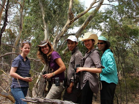 Echidna Walkabout Nature Tours - Hotel VIC 2