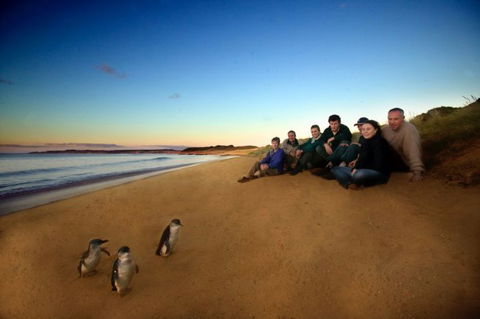 Melbourne Coastal Touring - Hotel VIC 2