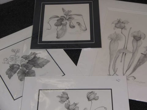 Masterpiece Framing & Gallery - Hotel VIC 2