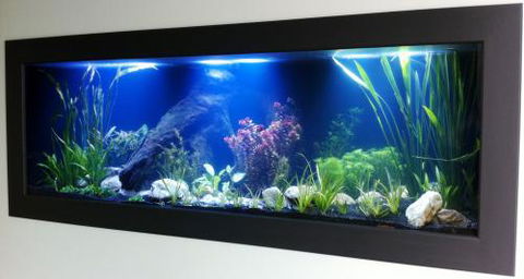 Aquariums In Cairns - Hotel VIC 0