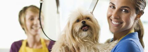 Port Stephens Pet Barn - Hotel VIC 1