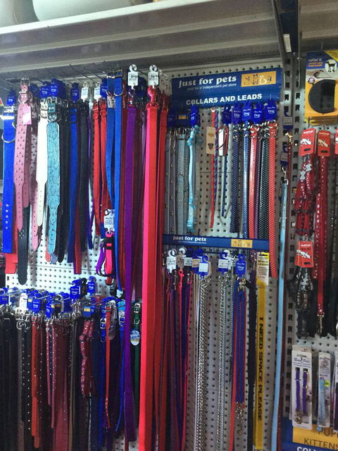 Port Stephens Pet Barn - Hotel VIC 3