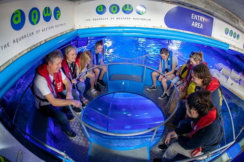 Glass Bottom Boat Adventure And AQWA General Entry Ticket - Hotel VIC 0