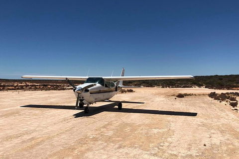 Kalbarri Gorges & West Coast - Ground & Air Tour - Hotel VIC 6