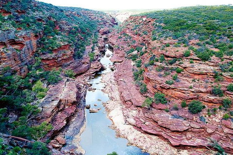 Kalbarri Gorges & West Coast - Ground & Air Tour - Hotel VIC 5