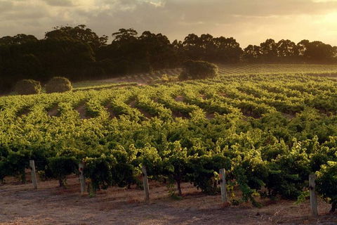 Flight To Leeuwin Winery For Lunch - Hotel VIC 5