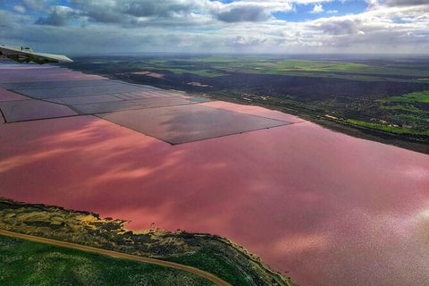 Kalbarri, Pink Lake And Abrolhos Islands Nature Tour - Hotel VIC 3