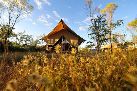 APT Kimberley Wilderness Adventures Purnululu (Bungle Bungle) 4WD Experience - Hotel VIC 10