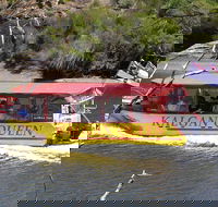 Kalgan Queen Scenic Cruises a four hour sheltered water wildlife tour daily fun. - Hotel VIC