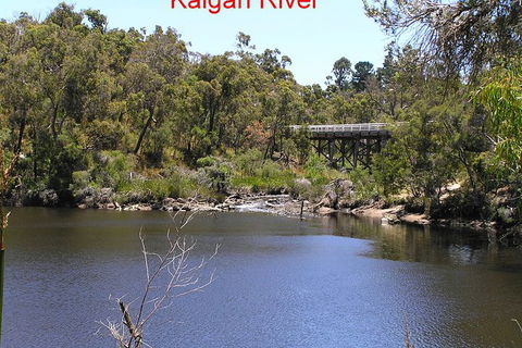Kalgan Queen Scenic Cruises A Four Hour Sheltered Water Wildlife Tour Daily Fun. - Hotel VIC 3