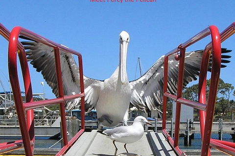 Kalgan Queen Scenic Cruises A Four Hour Sheltered Water Wildlife Tour Daily Fun. - Hotel VIC 4