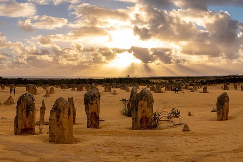 Half Day Pinnacles Sunset Tour - Hotel VIC 1