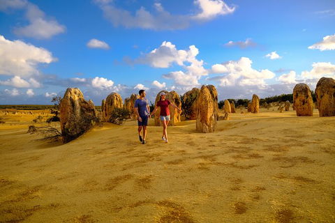 Half Day Pinnacles Sunset Tour - Hotel VIC 3
