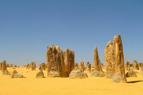 Half Day Pinnacles Sunset Tour - Hotel VIC 6