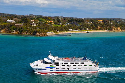 Great Ocean Road Reverse Itinerary And Phillip Island 2 Day Wildlife Encounter - Hotel VIC 15