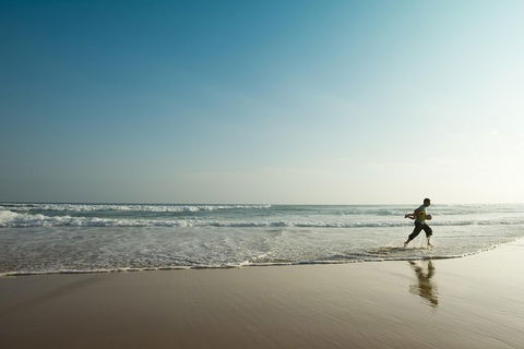 Great Ocean Road Reverse Itinerary And Phillip Island 2 Day Wildlife Encounter - Hotel VIC 3