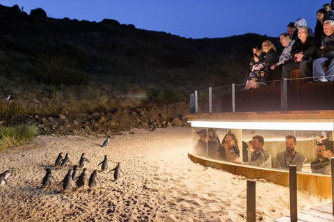 Great Ocean Road Reverse Itinerary And Phillip Island 2 Day Wildlife Encounter - Hotel VIC 9