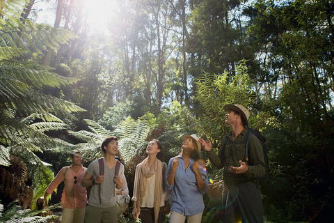 Great Ocean Road Reverse Itinerary And Phillip Island 2 Day Wildlife Encounter - Hotel VIC 13