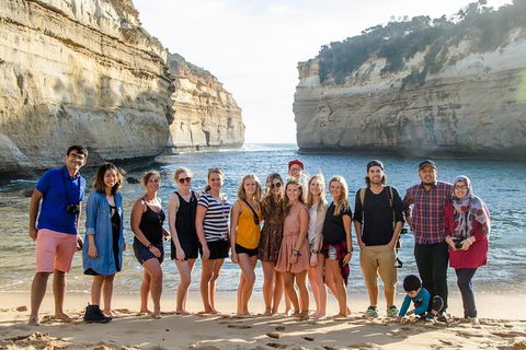 Great Ocean Road Reverse Itinerary And Phillip Island 2 Day Wildlife Encounter - Hotel VIC 8