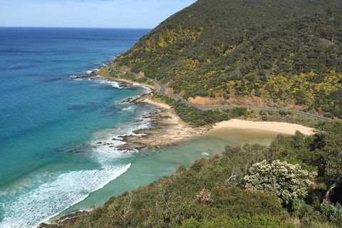 Great Ocean Road Reverse Itinerary And Phillip Island 2 Day Wildlife Encounter - Hotel VIC 5