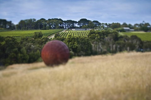 Estate To Plate: Montalto Vineyard Gourmet Lunch And Wine-Tasting Tour - Hotel VIC 0