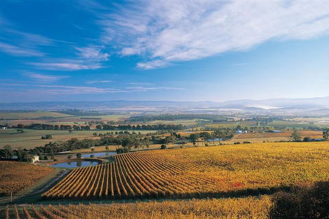 Half Day Yarra Valley Winery Day Trip From Melbourne - Hotel VIC 0