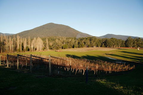 Half Day Yarra Valley Winery Day Trip From Melbourne - Hotel VIC 6