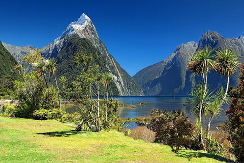 Aroha Tangata Australia And New Zealand 20 Day - Hotel VIC 1