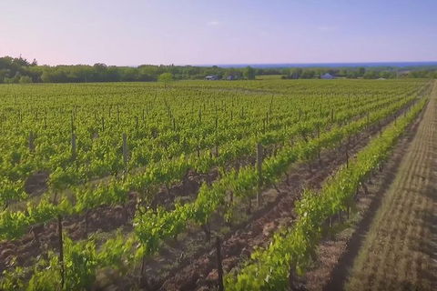 Macedon Ranges Small Group Wine Tour With 2 Course Lunch And Morning Tea - Hotel VIC 1