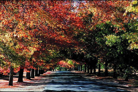 Macedon Ranges Small Group Wine Tour With 2 Course Lunch And Morning Tea - Hotel VIC 3