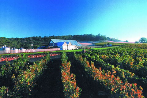 Macedon Ranges Small Group Wine Tour With 2 Course Lunch And Morning Tea - Hotel VIC 4