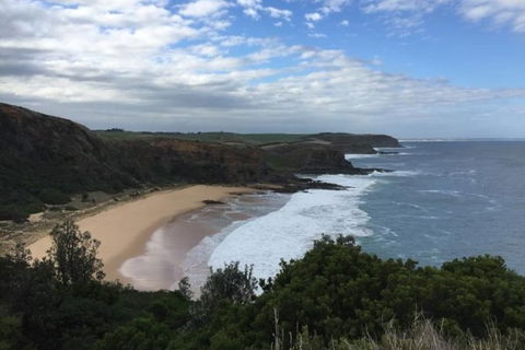 Phillip Island, George Bass Coastal Walk And Penguins Tour - Hotel VIC 0