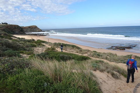 Phillip Island, George Bass Coastal Walk And Penguins Tour - Hotel VIC 1
