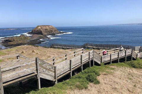 Phillip Island, George Bass Coastal Walk And Penguins Tour - Hotel VIC 7