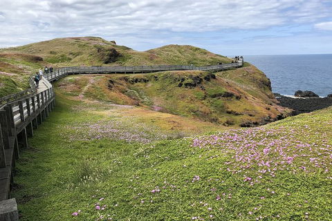 Phillip Island, George Bass Coastal Walk And Penguins Tour - Hotel VIC 6