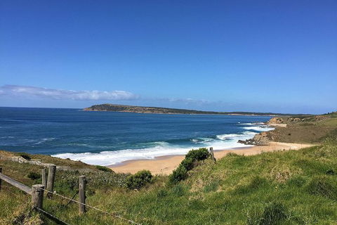 Phillip Island, George Bass Coastal Walk And Penguins Tour - Hotel VIC 3