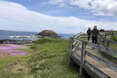 Phillip Island, George Bass Coastal Walk And Penguins Tour - Hotel VIC 12