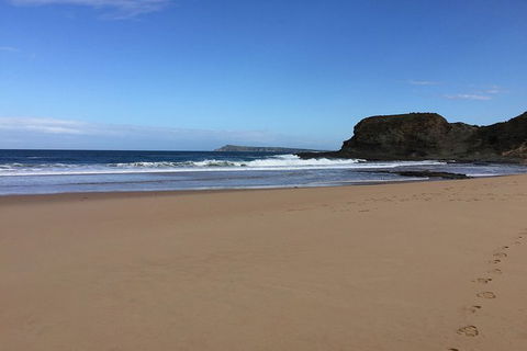 Phillip Island, George Bass Coastal Walk And Penguins Tour - Hotel VIC 8