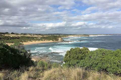 Phillip Island, George Bass Coastal Walk And Penguins Tour - Hotel VIC 5
