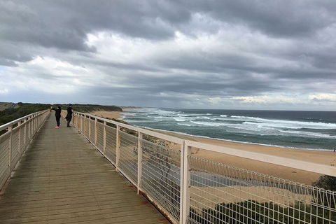 Phillip Island, George Bass Coastal Walk And Penguins Tour - Hotel VIC 11