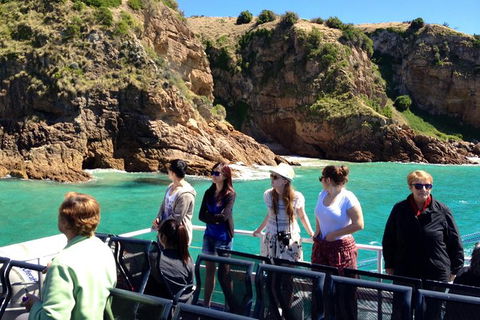 Cape Woolamai Sightseeing Cruise From San Remo - Hotel VIC 1