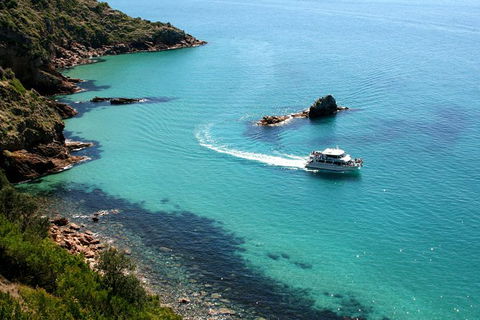 Cape Woolamai Sightseeing Cruise From San Remo - Hotel VIC 3