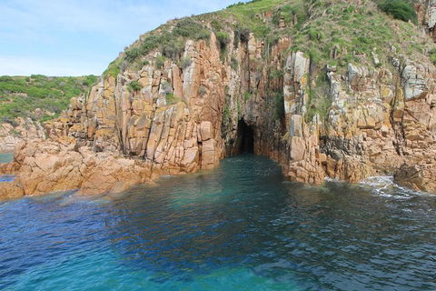 Cape Woolamai Sightseeing Cruise From San Remo - Hotel VIC 4