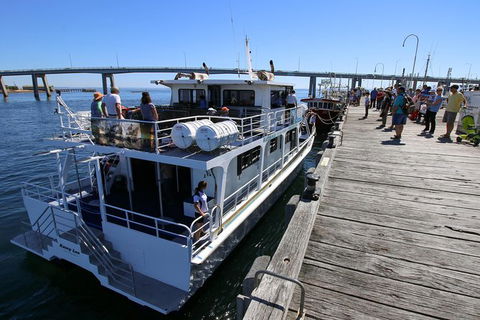 Cape Woolamai Sightseeing Cruise From San Remo - Hotel VIC 7