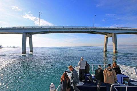 Cape Woolamai Sightseeing Cruise From San Remo - Hotel VIC 5