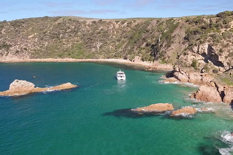 Cape Woolamai Sightseeing Cruise From San Remo - Hotel VIC 6