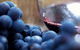 Small Group 6 Guests: Ultimate Yarra Valley Food And Wine - Mercedes Van - thumb 4
